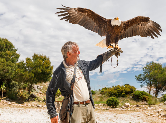 presentación de aves
parque temático
zoológico